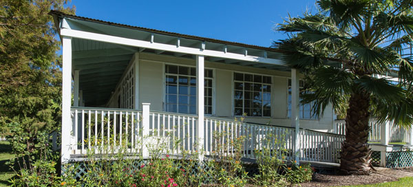 woodland plantation