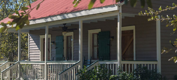woodland plantation
