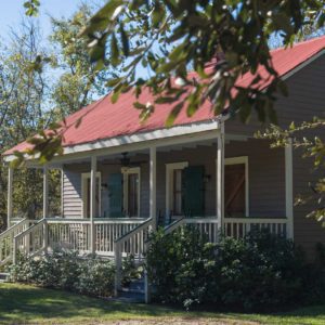 woodland plantation