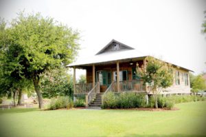 woodland plantation