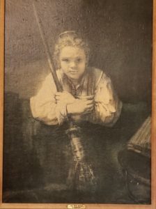Woodland plantation history