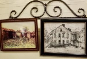 Woodland plantation history