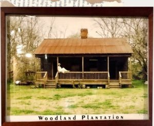 woodland plantation louisiana