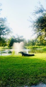 woodland plantation louisiana